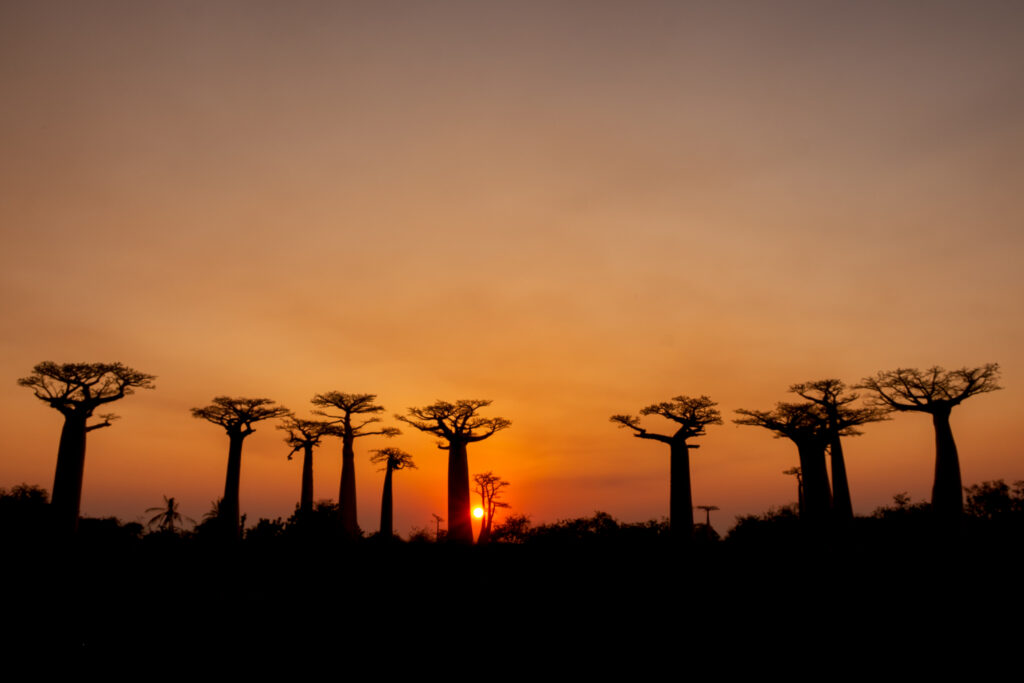 madagascar